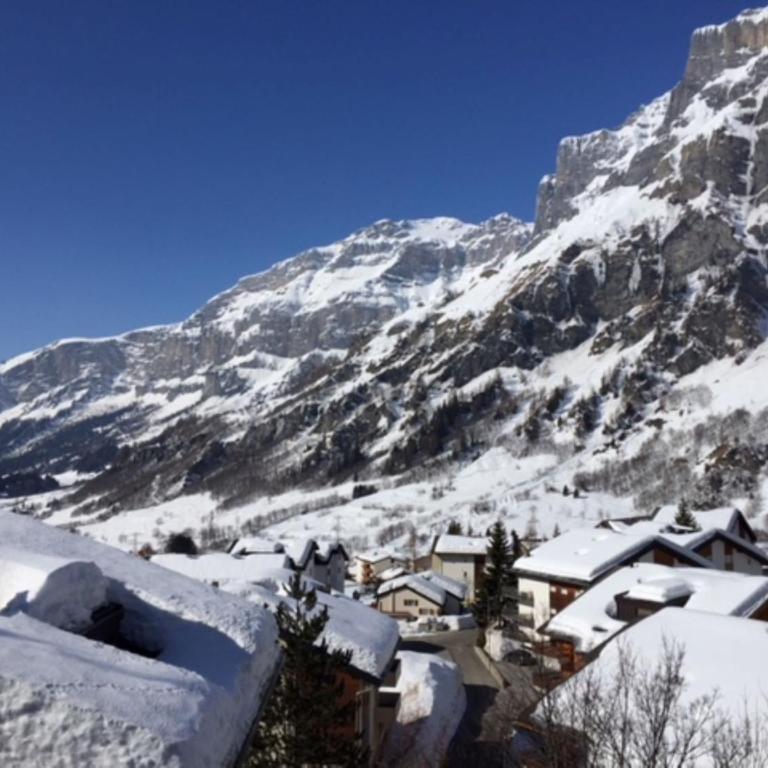 Haus Rothorn, Swiss Alps - Apartment mit Blick auf die Berge - 26