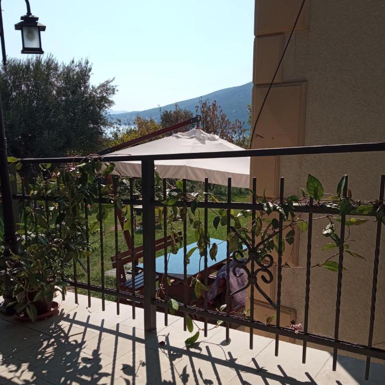 Apartments Savić - One-Bedroom Apartment with Patio - 4
