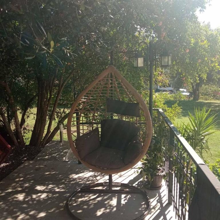 Apartments Savić - One-Bedroom Apartment with Patio - 5