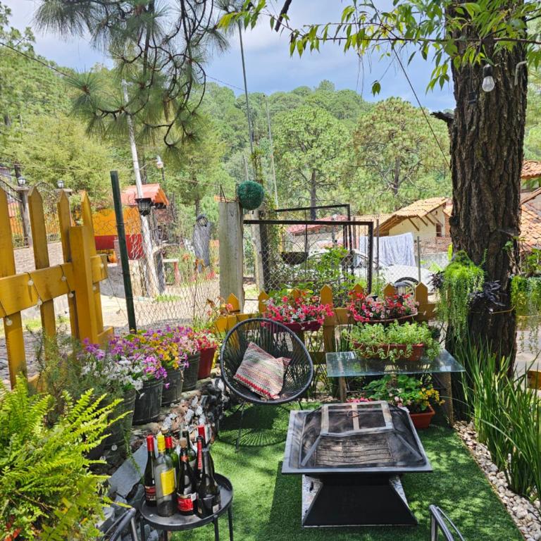 Villas De Los Pinos - Villa Estándar - 15