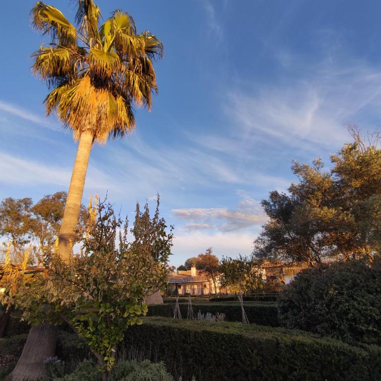 Cortijo el Cachete - Villa with Private Pool - 12