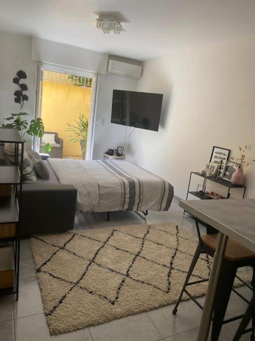 Bas de Villa à 15 min de Nice avec piscine - Appartement 1 Chambre - 9