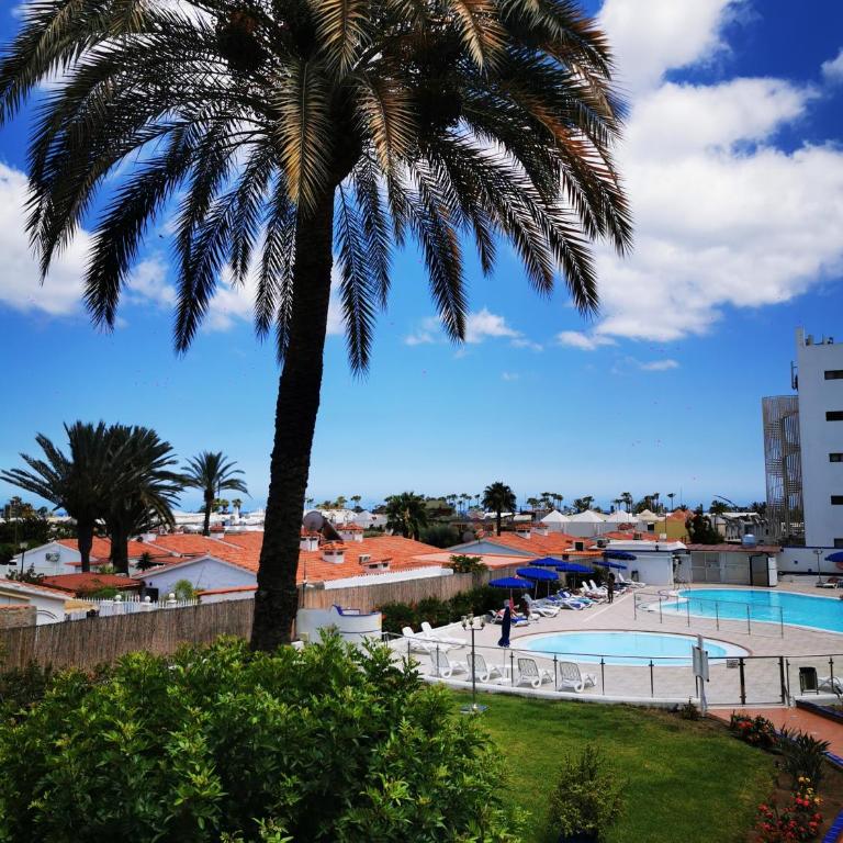 TAMARAN (ENTRE YUMBO ET CITA) - One-Bedroom Apartment - 3