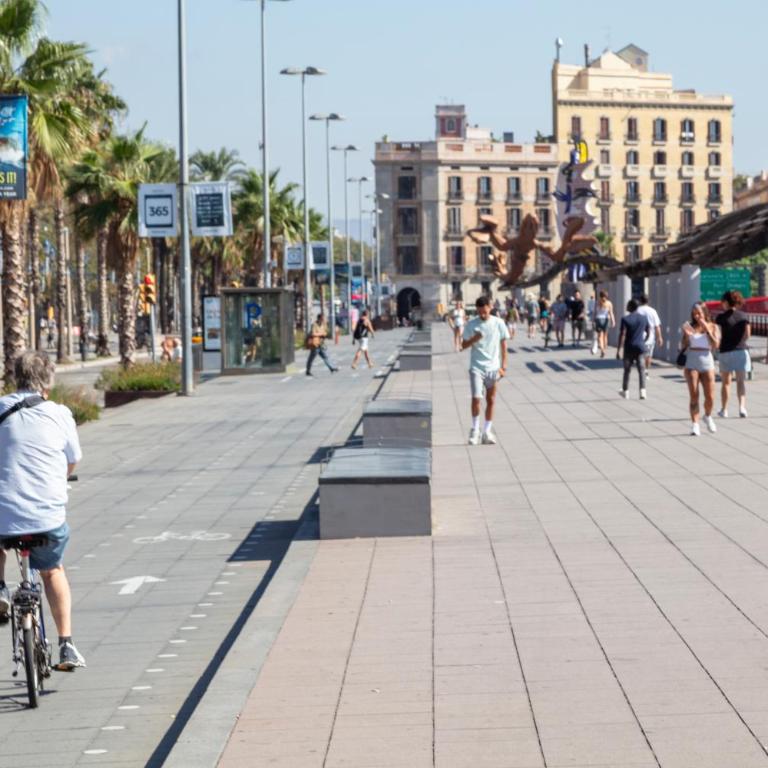 Citytrip Barceloneta Beach - Deluxe One-Bedroom Apartment - Psg Colom Street 3 - 19