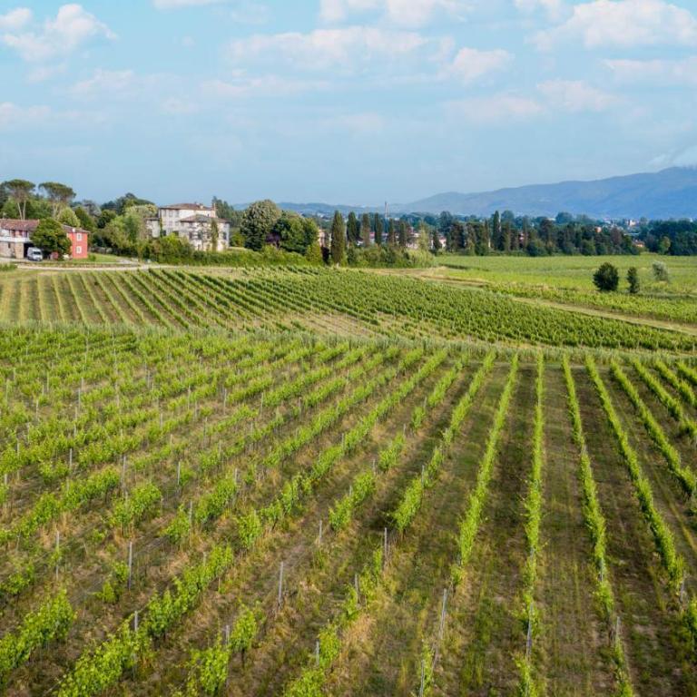 Anna Farmhouse at Wine Resort - One-Bedroom Apartment - 35