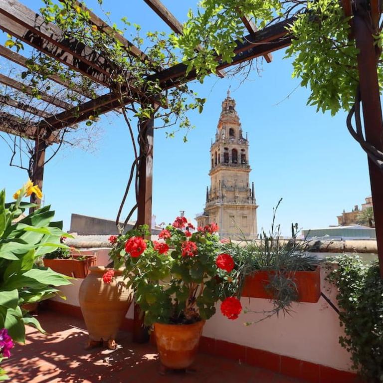 Casa con encanto en la judería de Córdoba - Casa de 3 dormitorios - 10