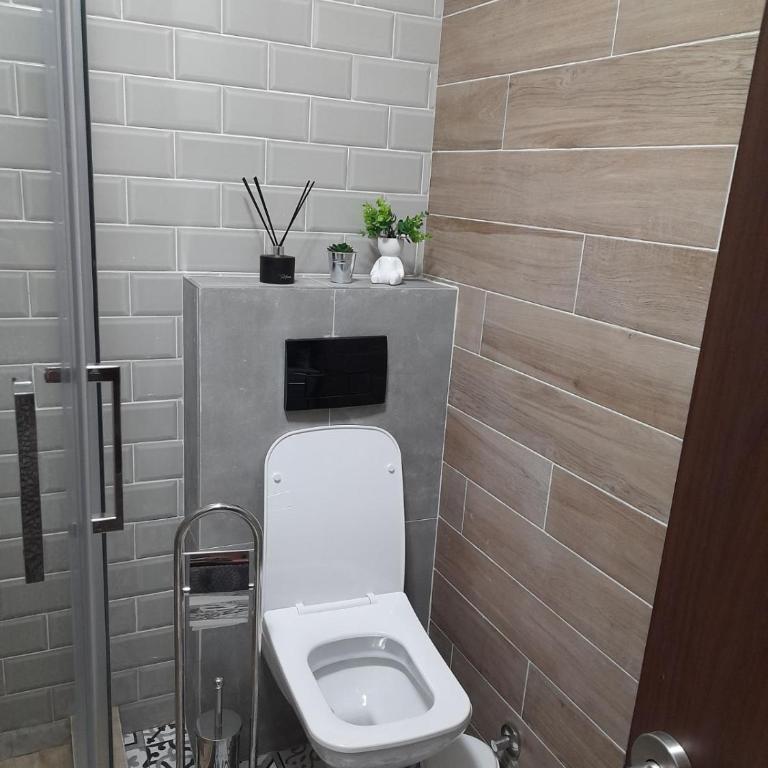 Anžujska čarolija - Apartman sa 1 Spavaćom Sobom - 20