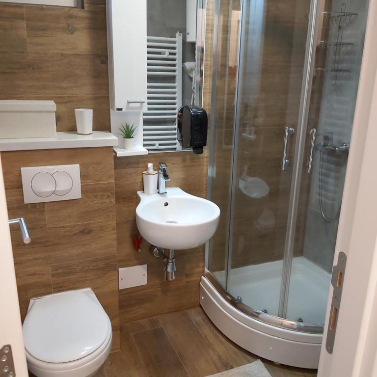 Apartman Dragana Kopaonik - One-Bedroom Apartment - 9