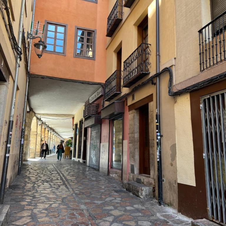 Bermudo III Plaza Mayor de León - Apartamento de 1 dormitorio - 10