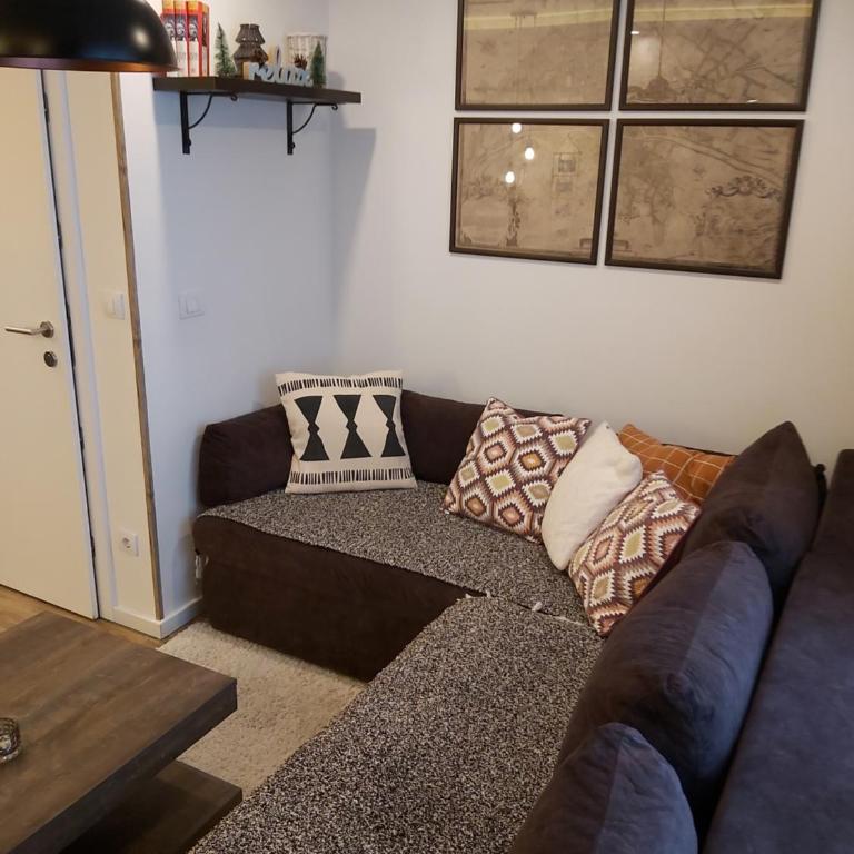 Apartman Dragana Kopaonik - One-Bedroom Apartment - 24