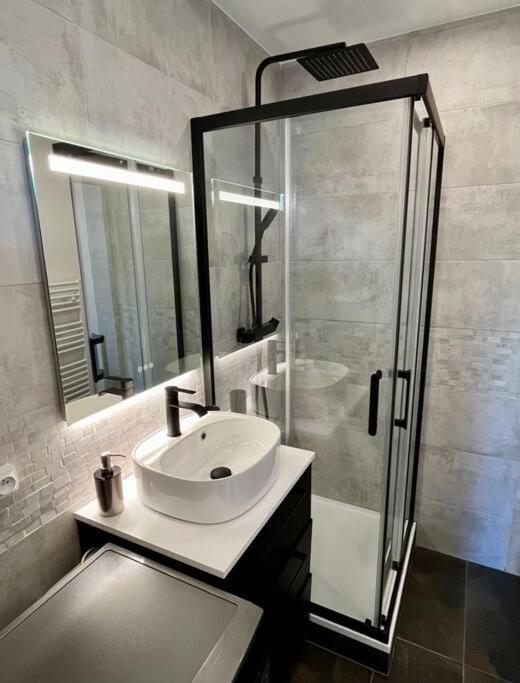 Appartement centre-ville Annecy - Apartment - 7