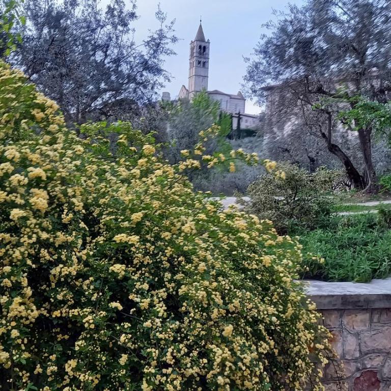 La Casa Di Famiglia - Appartamento con Vista Giardino - 18