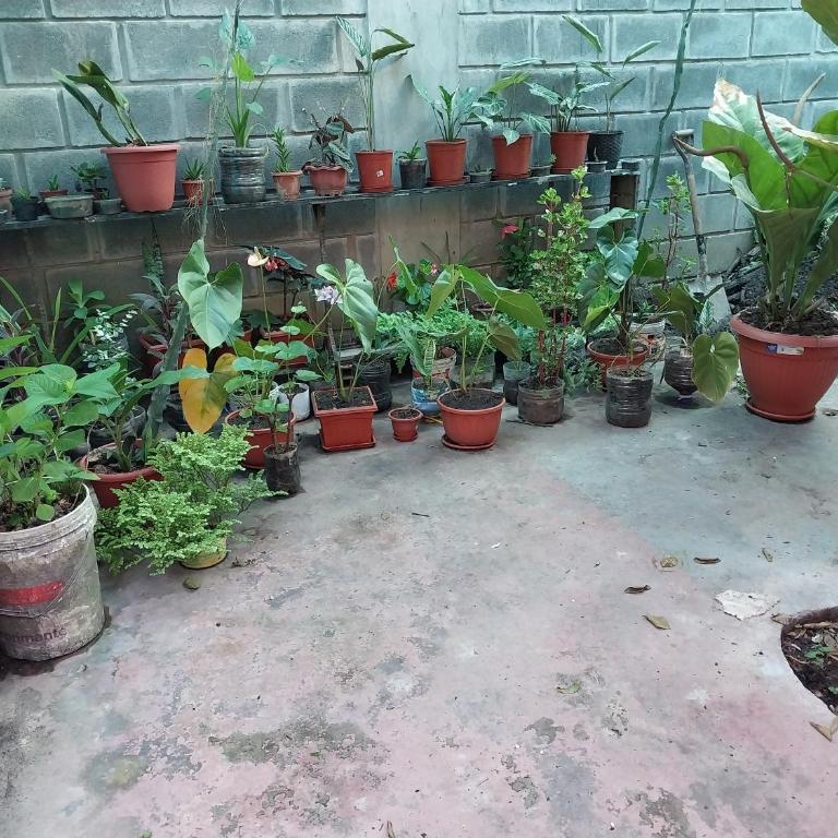 D202 - One-Bedroom Apartment - 14