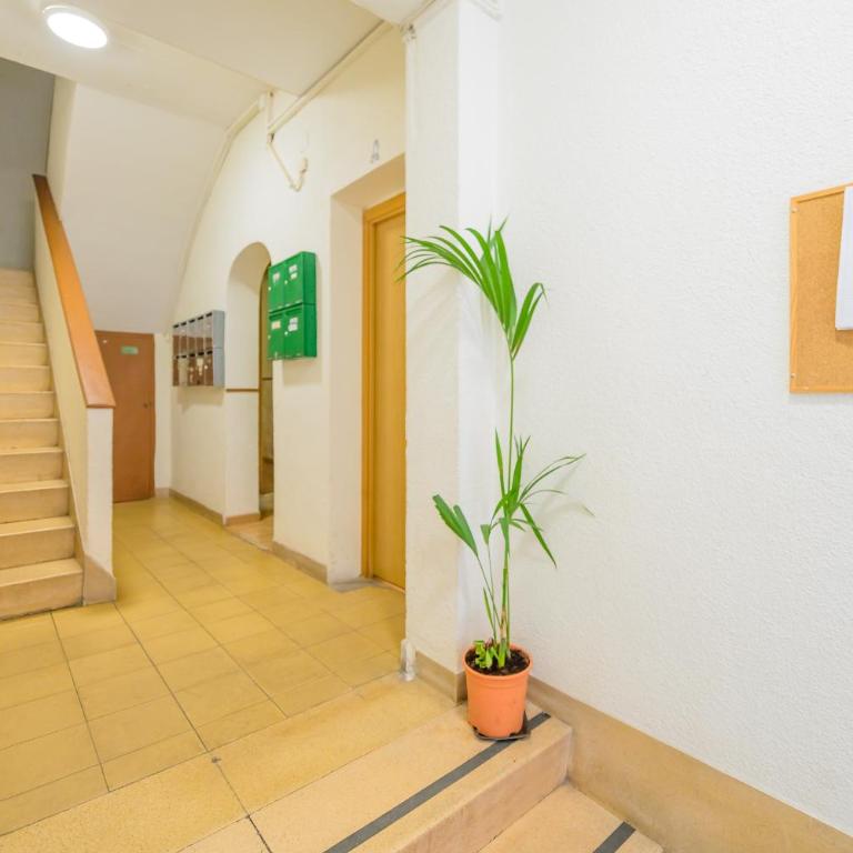 For You Rentals Bonito y cómodo estudio TEMPORAL cerca al Barrio Tetuán M ARA10 - Apartamento de 1 dormitorio - 24