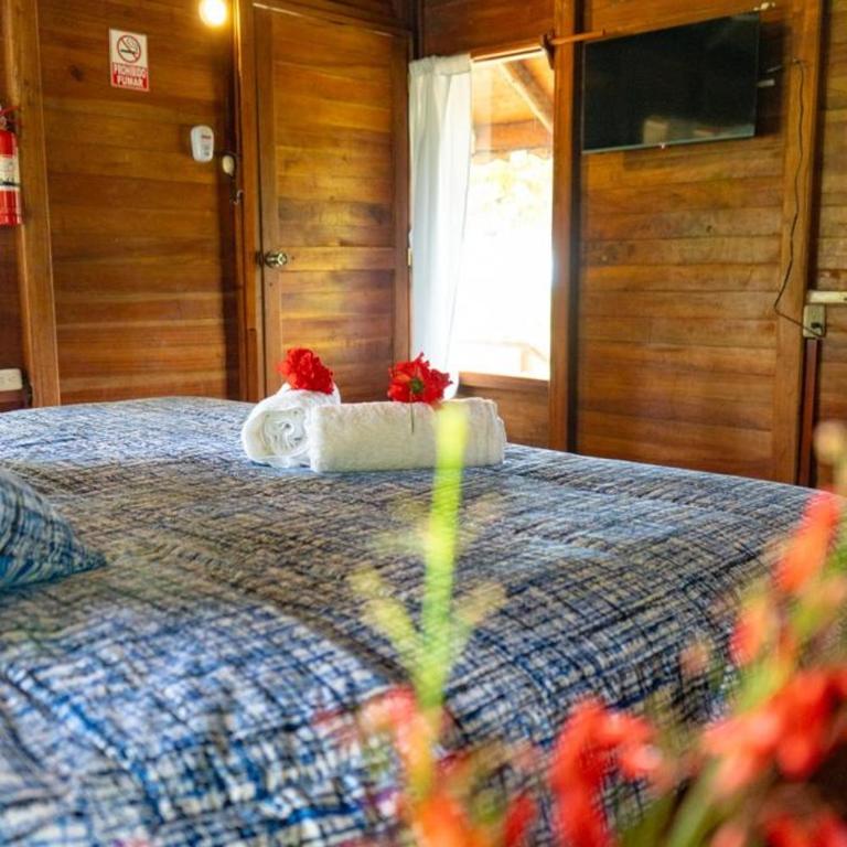 Galapagos Cabañas Eden - Habitación Doble con vistas al jardín - 1 o 2 camas - 10