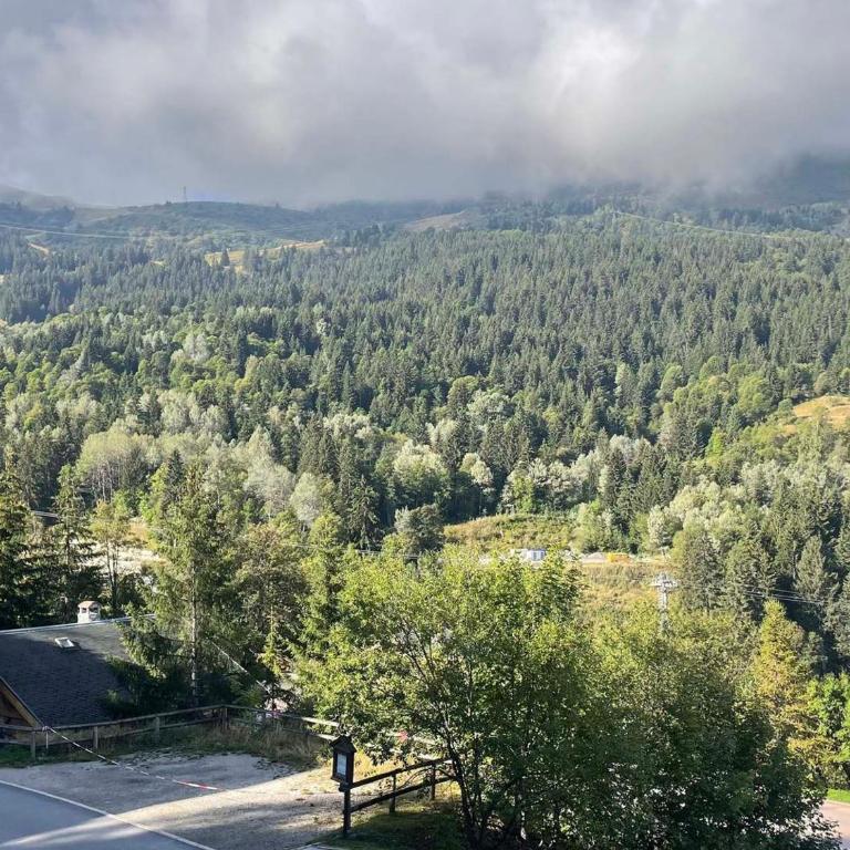 Appartement 3 pièces pour 6 personnes avec balcon et WiFi à Méribel - FR-1-411-225 - Appartement (6 Adultes) - 6