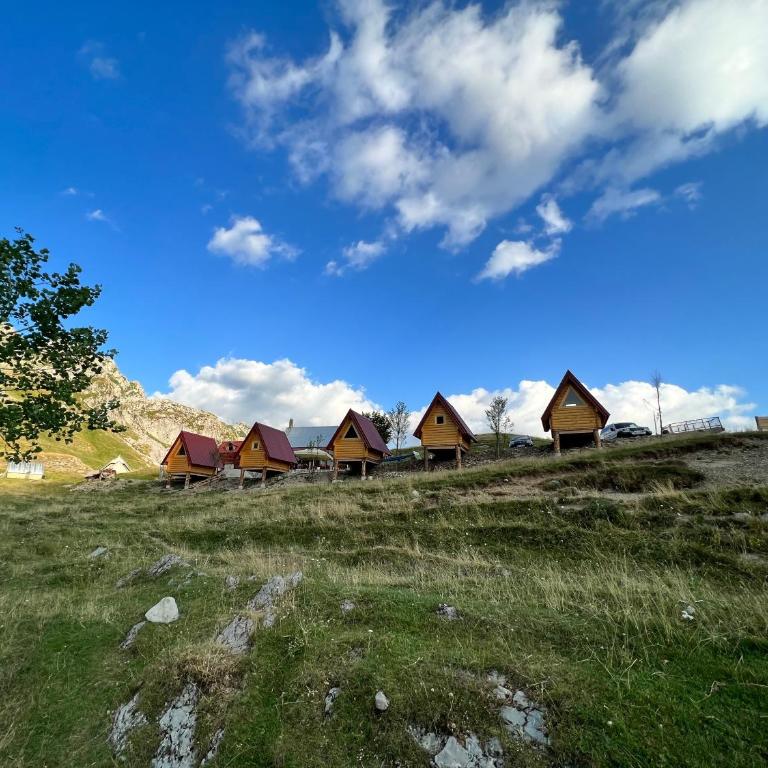 Rural Household MINIĆ - Kapetanovo jezero - Bungalov - pored Vode - 10