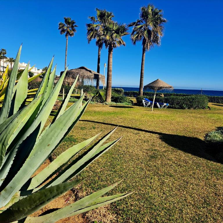 Playa Miraflores 2 - Apartamento de 3 dormitorios - 30
