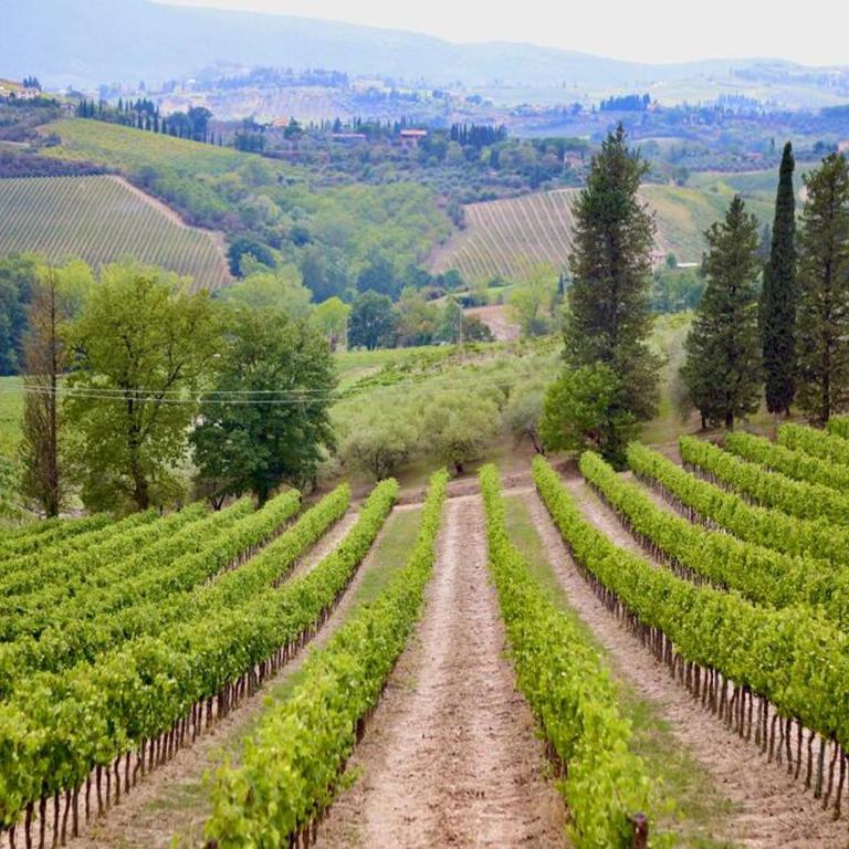 Lovely 2 Bedroom in San Gimignano Historic Center - Two-Bedroom Apartment - 34