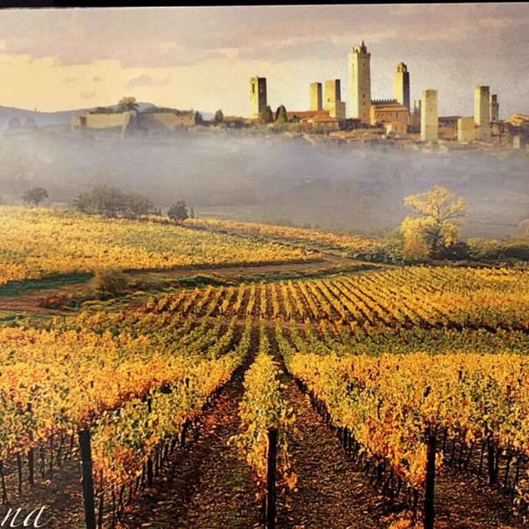 Lovely 2 Bedroom in San Gimignano Historic Center - Two-Bedroom Apartment - 62