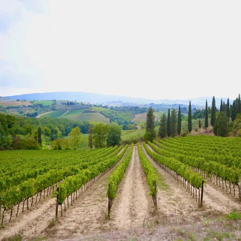 Lovely 2 Bedroom in San Gimignano Historic Center - Two-Bedroom Apartment - 66
