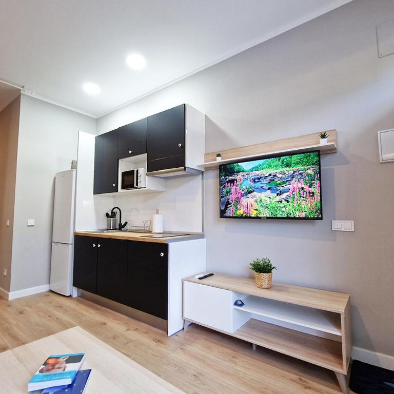 Apartamentos Manzanares 'Madrid Rio' - Apartamento de 1 dormitorio - 21