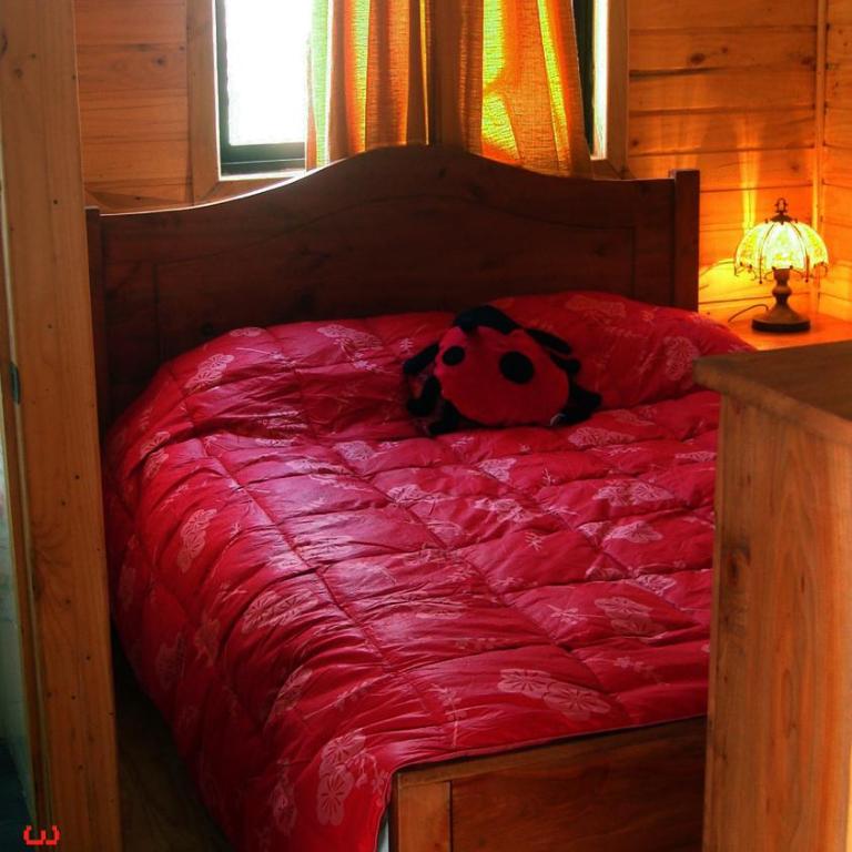 Don Guillermo Cabins - Two-Bedroom House - 2