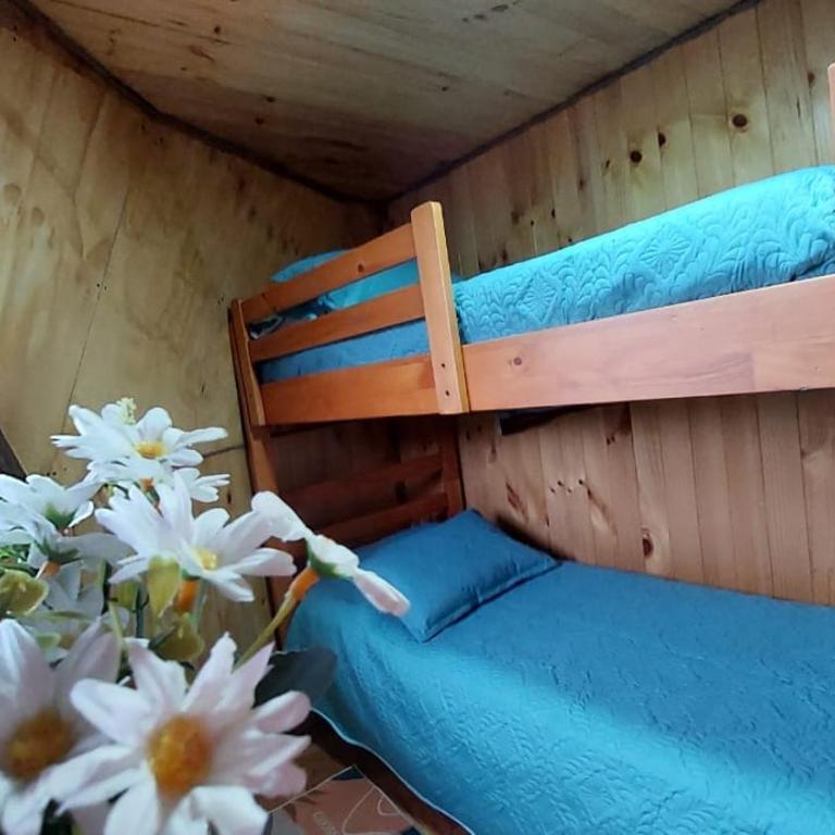 Domos Maran - Apartamento de 3 dormitorios - 17