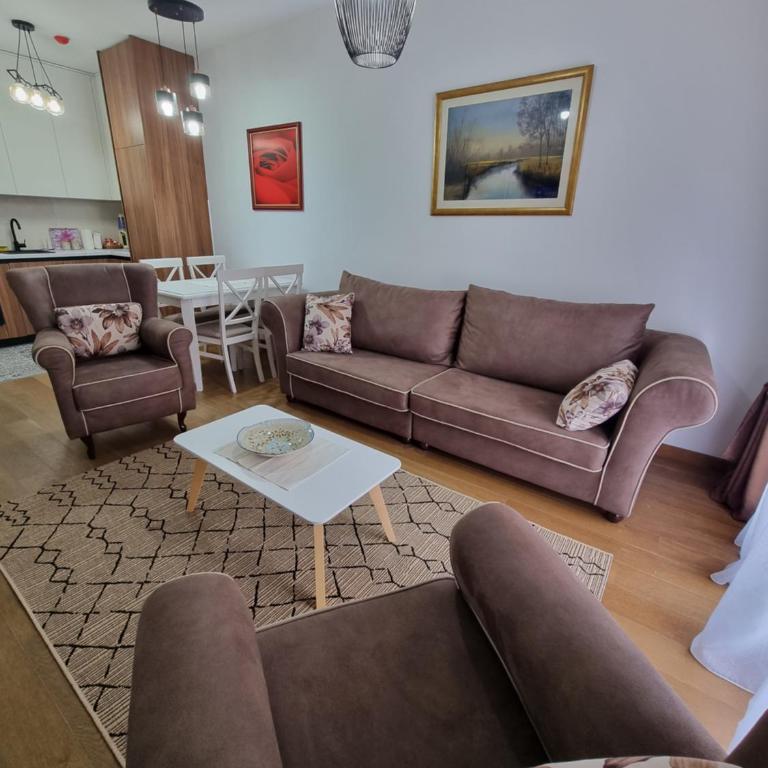 Podgorica Centre apartment - Apartment mit 1 Schlafzimmer - 4
