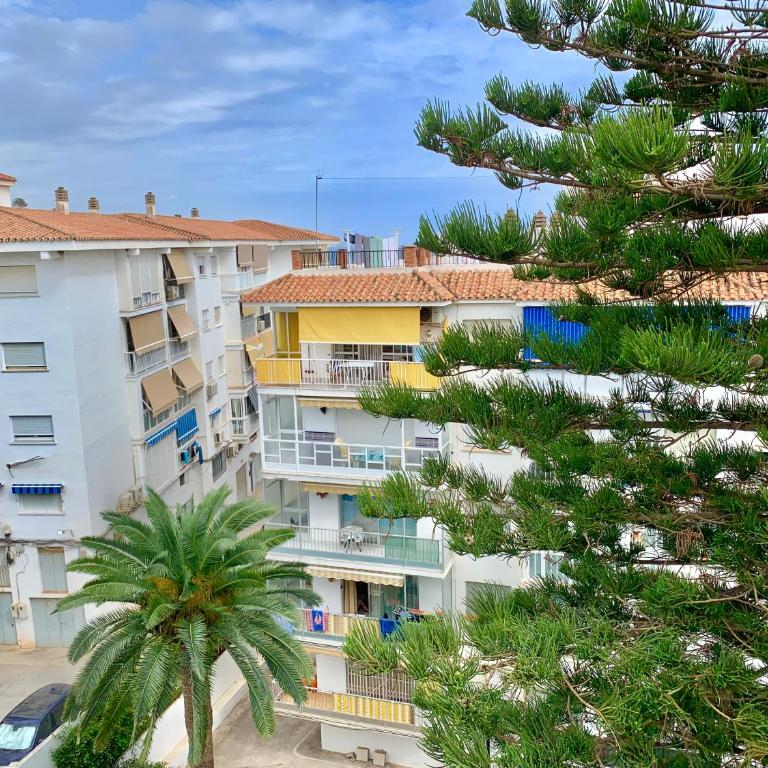 Sol Torrecilla Studio - One-Bedroom Apartment - 17