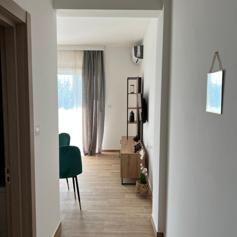 Apartments HAS - Apartment with Sea View - 2