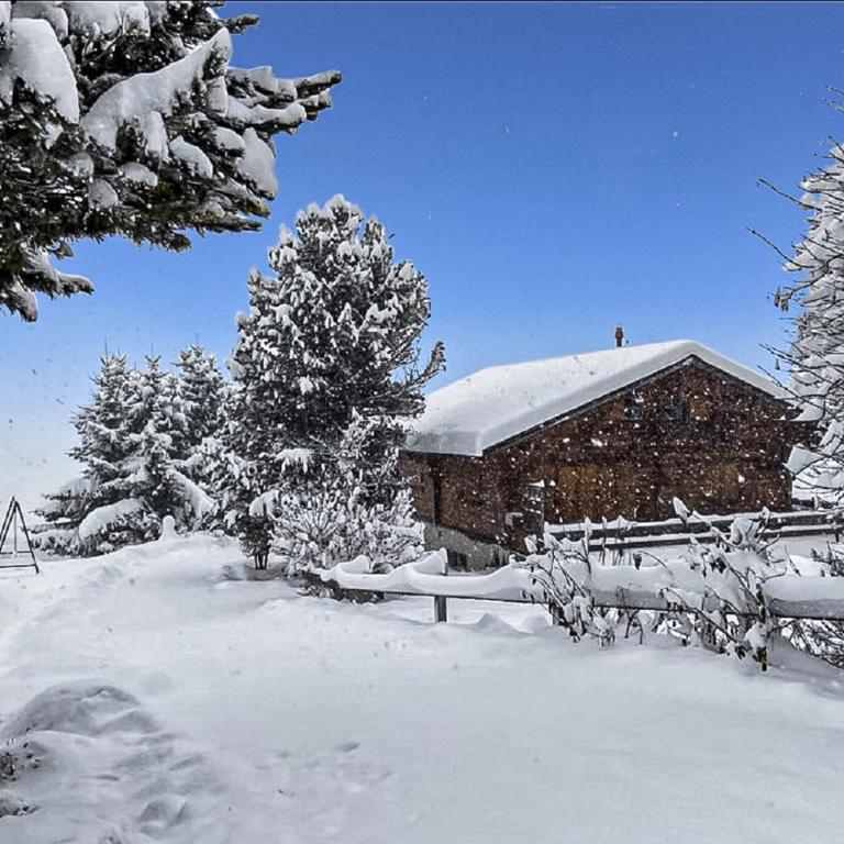 Chalet Albarose - Vercorin - Chalet - 2