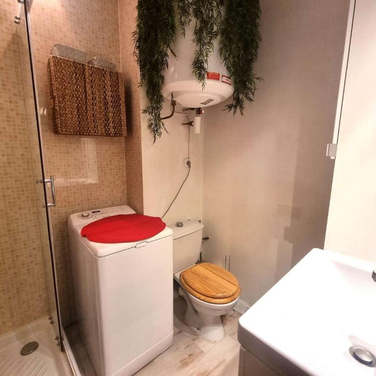Studio 4/6 pers., Chaillol 1600, proche ski/rando, balcon S/O, TV, lave-vaisselle, animaux ok. - FR-1-393-66 - Monolocale - 10
