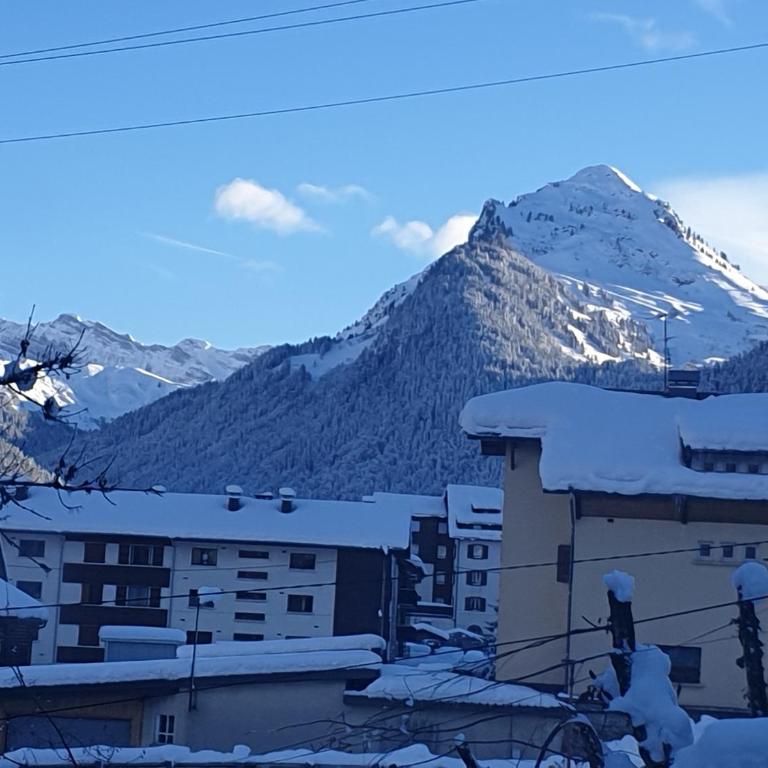 La Chanterelle Apartment - Appartement 2 Chambres - 26