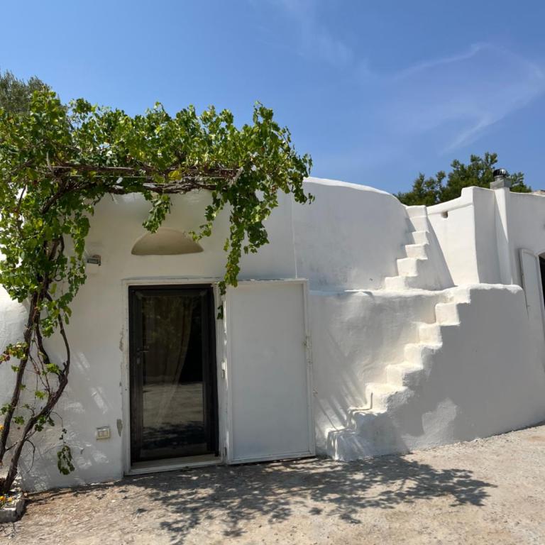 Villa Piti Carovigno-Ostuni - Villa con Piscina Privata - 12