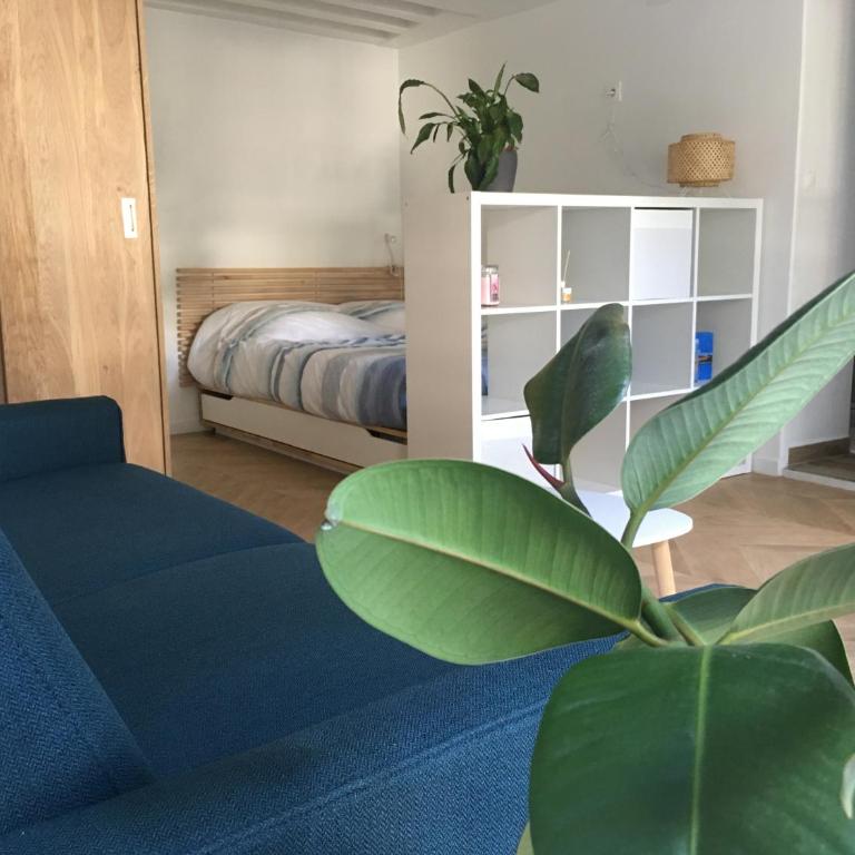 Appartement aux charmes Parisien - Appartement 1 Chambre - 2