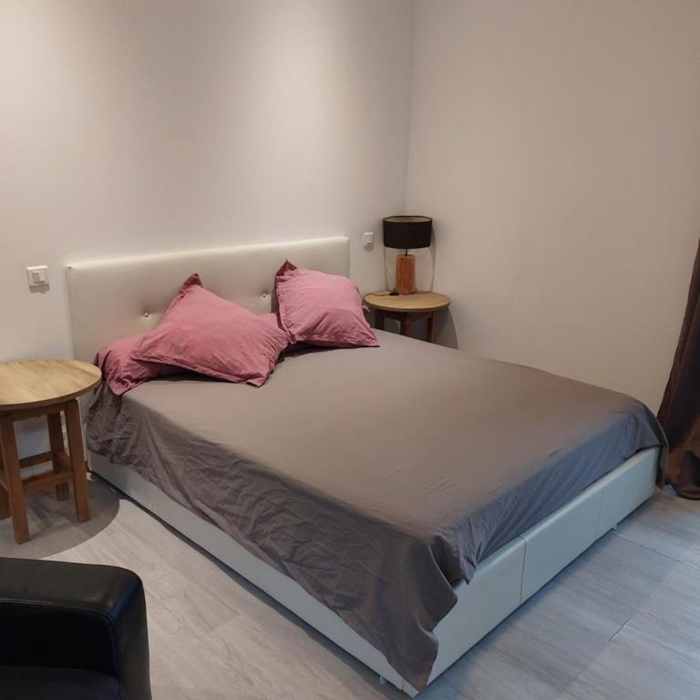 Studio meublé au pied du Mercantour - Appartement - 5