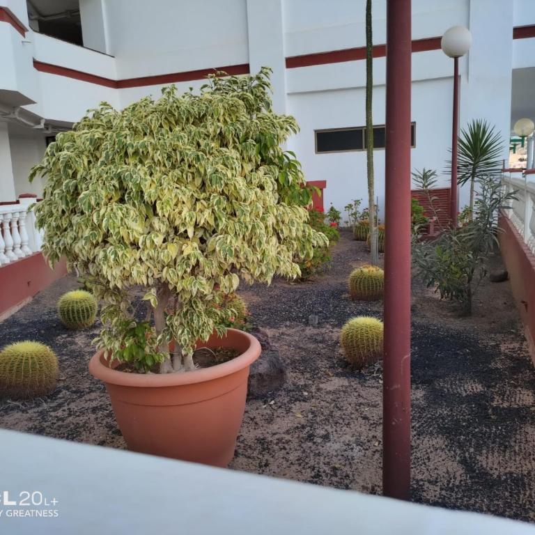 Casa Maya - Apartamento de 2 dormitorios - 17