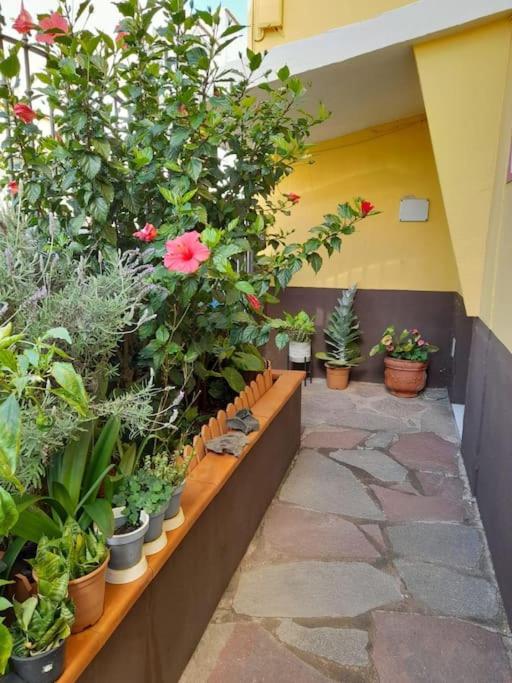 El Rincon de Nina - Casa de 3 dormitorios - 27