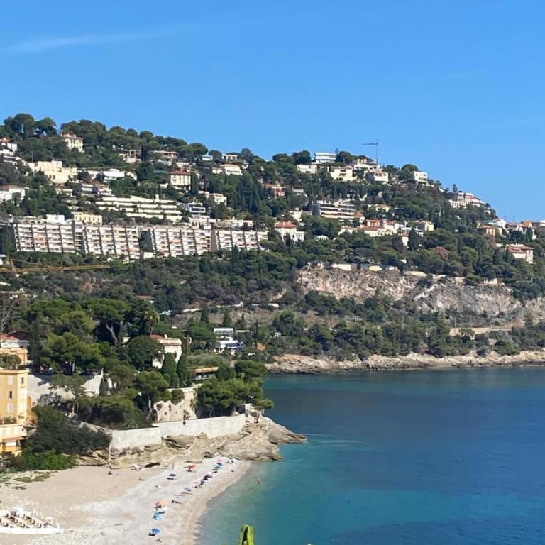 Cap d.Azur - Appartement 1 Chambre - 45