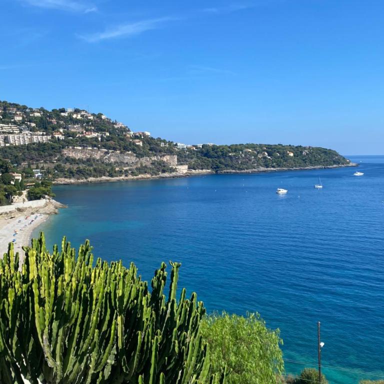 Cap d.Azur - Appartement 1 Chambre - 42