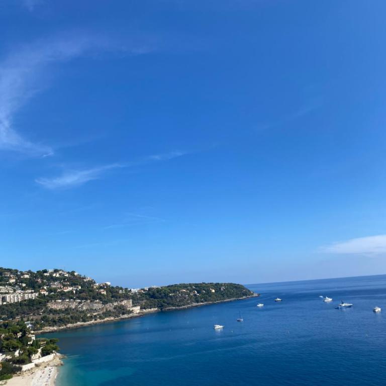 Cap d.Azur - Appartement 1 Chambre - 44