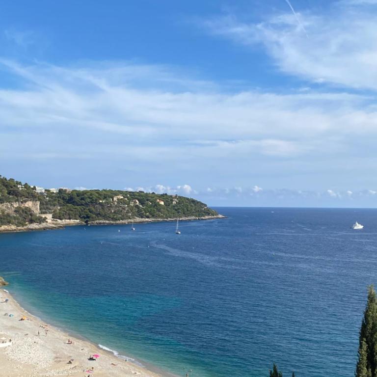 Cap d.Azur - Appartement 1 Chambre - 41