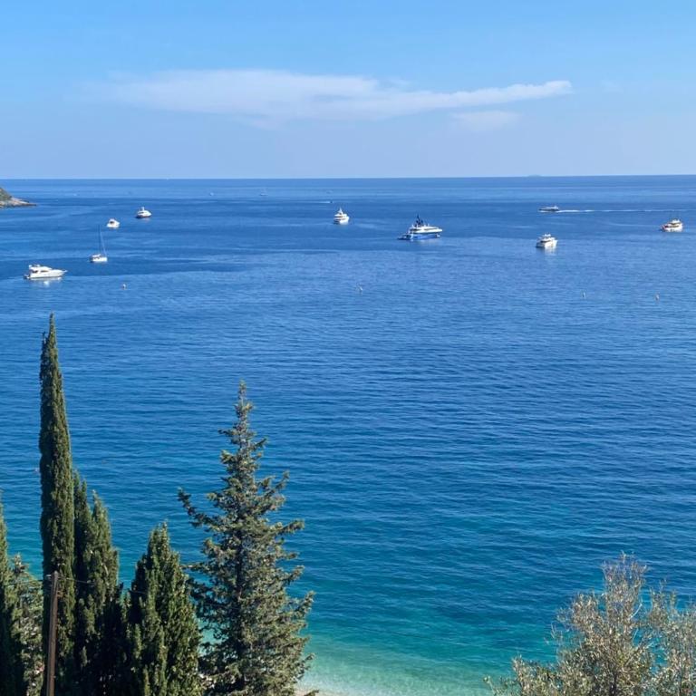 Cap d.Azur - Appartement 1 Chambre - 52