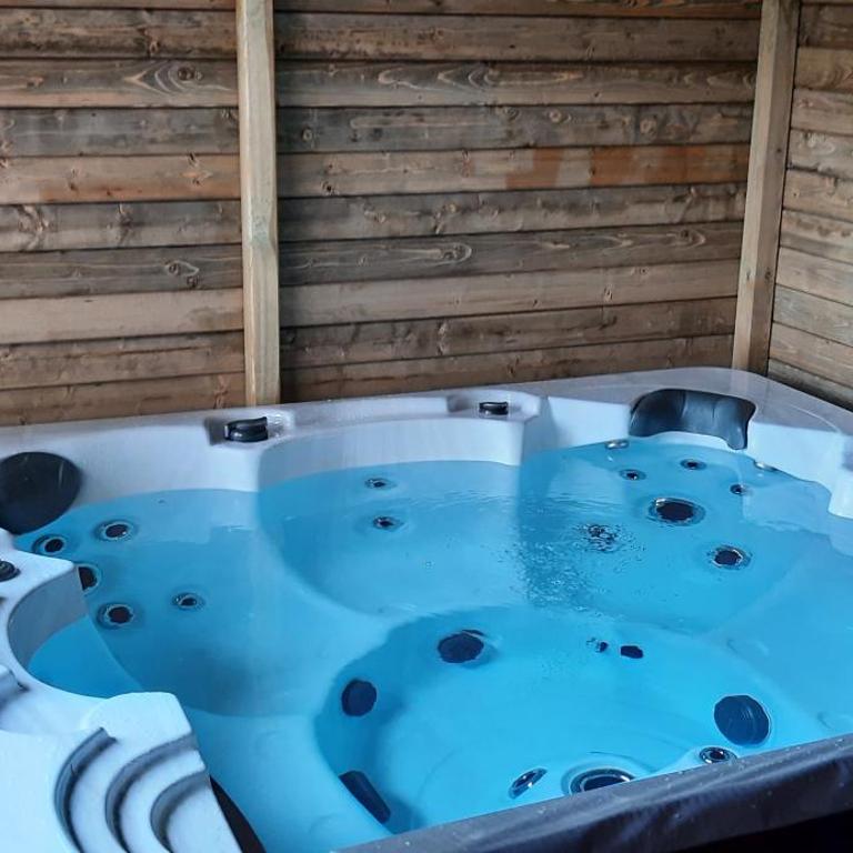 La Pinéguette maison 12 personnes spa 6 pers décoration chalet sauna 4 pers - Four-Bedroom House - 3