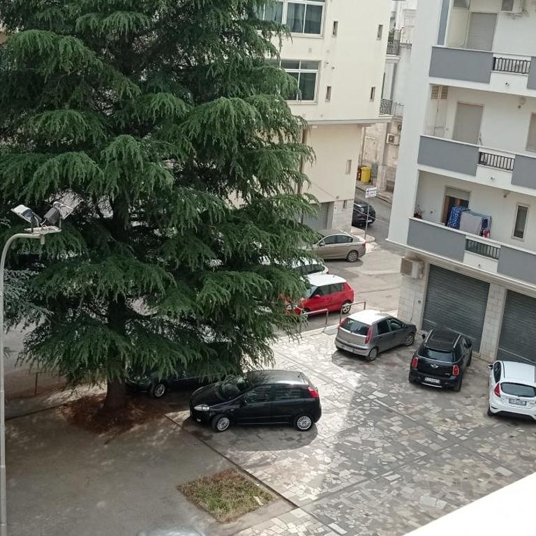Appartamento Terrazza Bella Vista - Appartamento con 1 Camera da Letto - 23