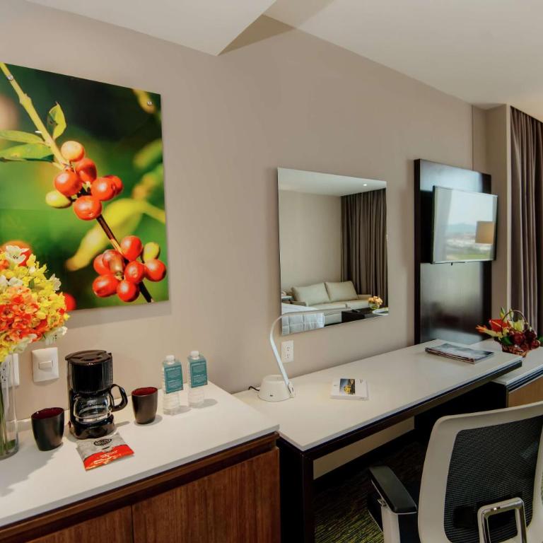 Hilton Garden Inn Puebla Angelopolis - Suite Junior - 4