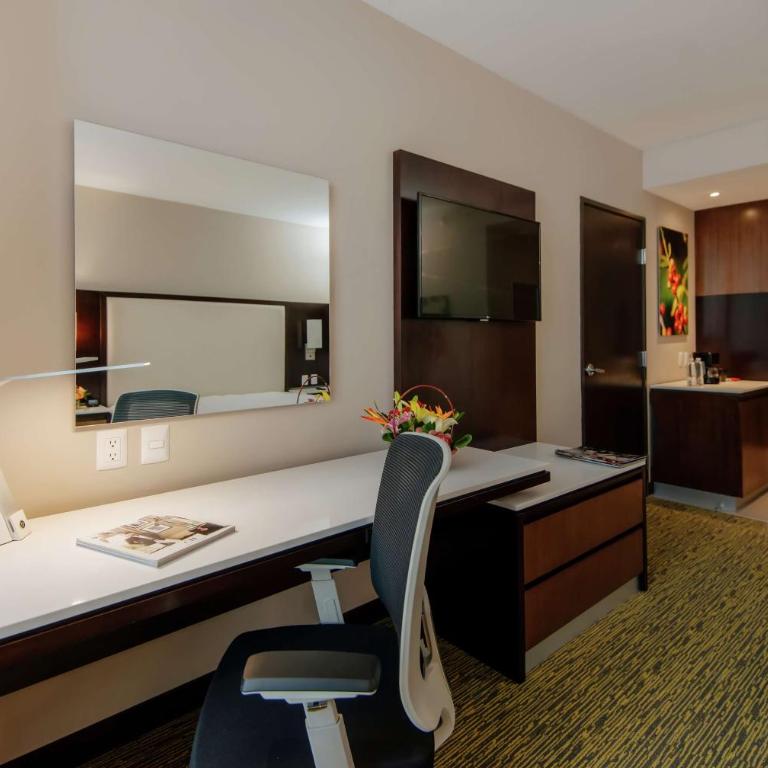 Hilton Garden Inn Puebla Angelopolis - Habitación con cama extragrande. - 6