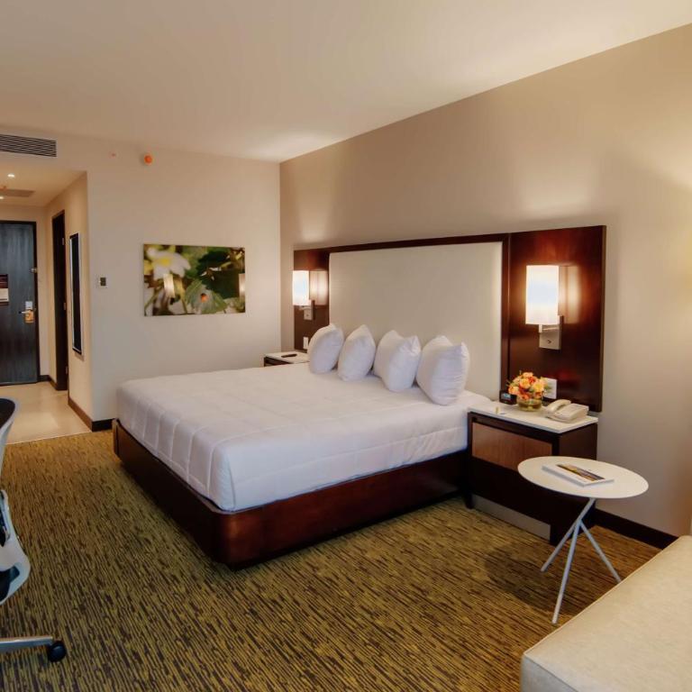 Hilton Garden Inn Puebla Angelopolis - Habitación con cama extragrande. - 1