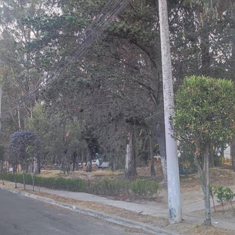 Urbanización El Condado. - Apartamento de 3 dormitorios - 37